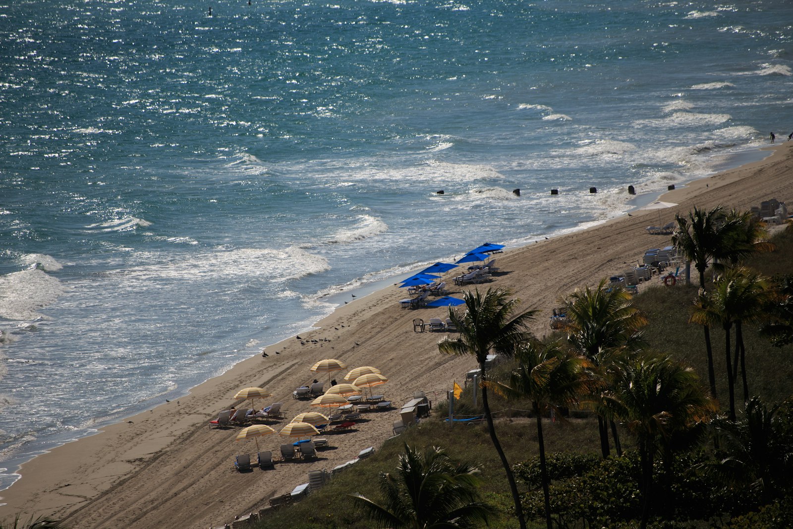 Typical March conditions on the Fort Myers coast