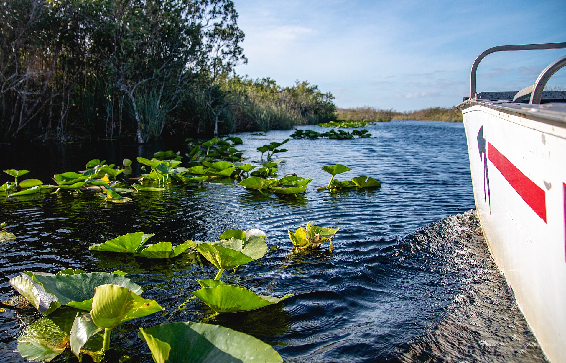 The Everglades, a popular day trip from Fort Myers, Florida