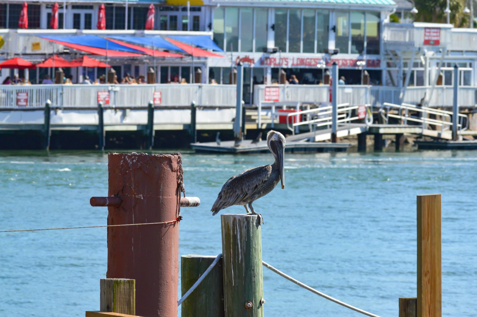 Typical October conditions on the Fort Myers coast