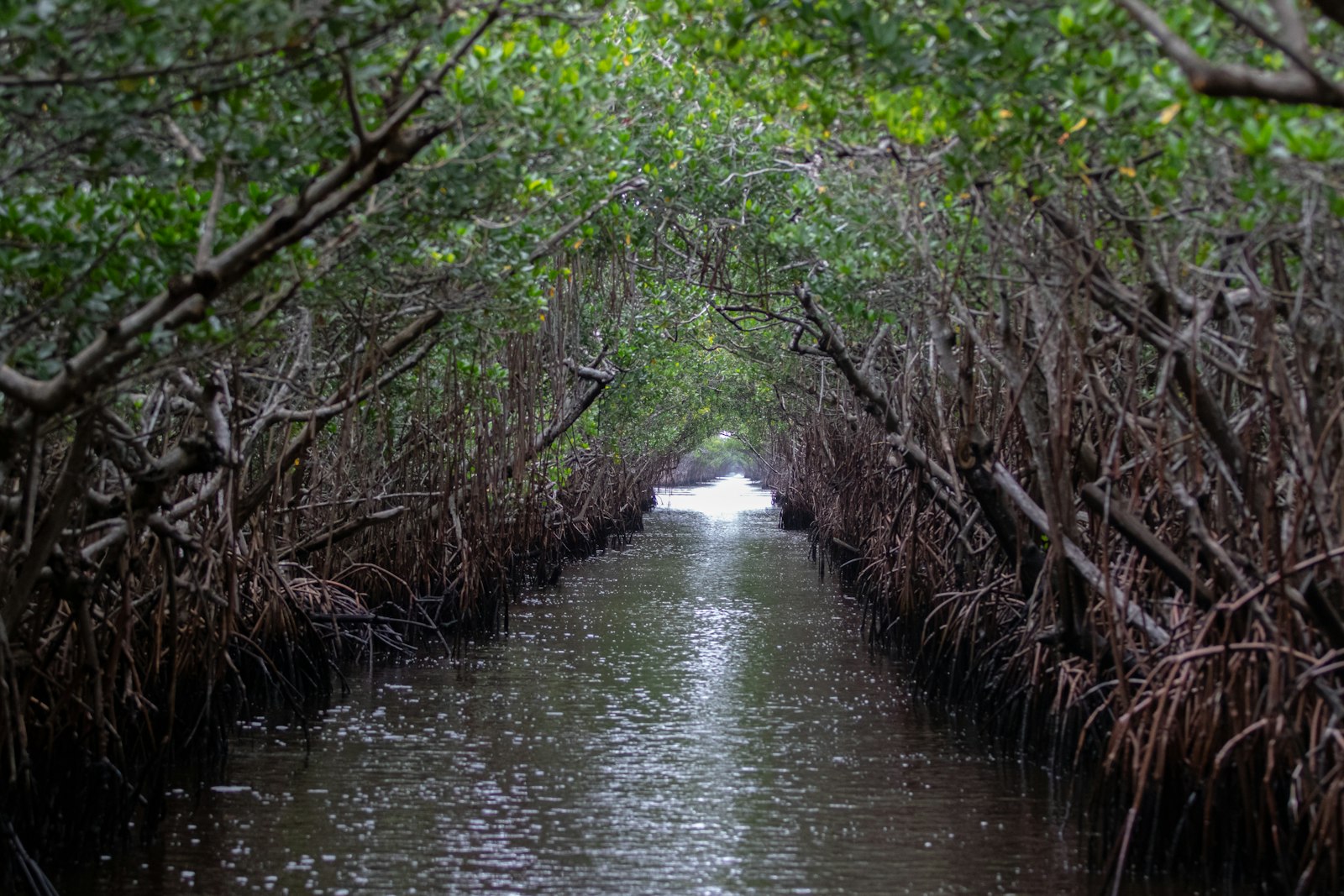 Typical June conditions on the Fort Myers coast