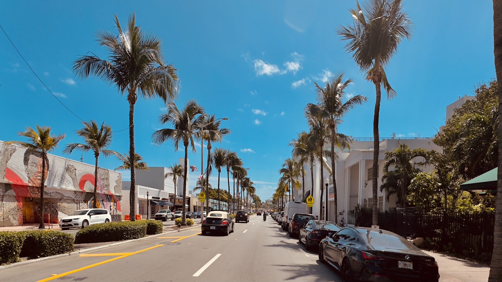 Palm-lined road in Fort Myers, Florida