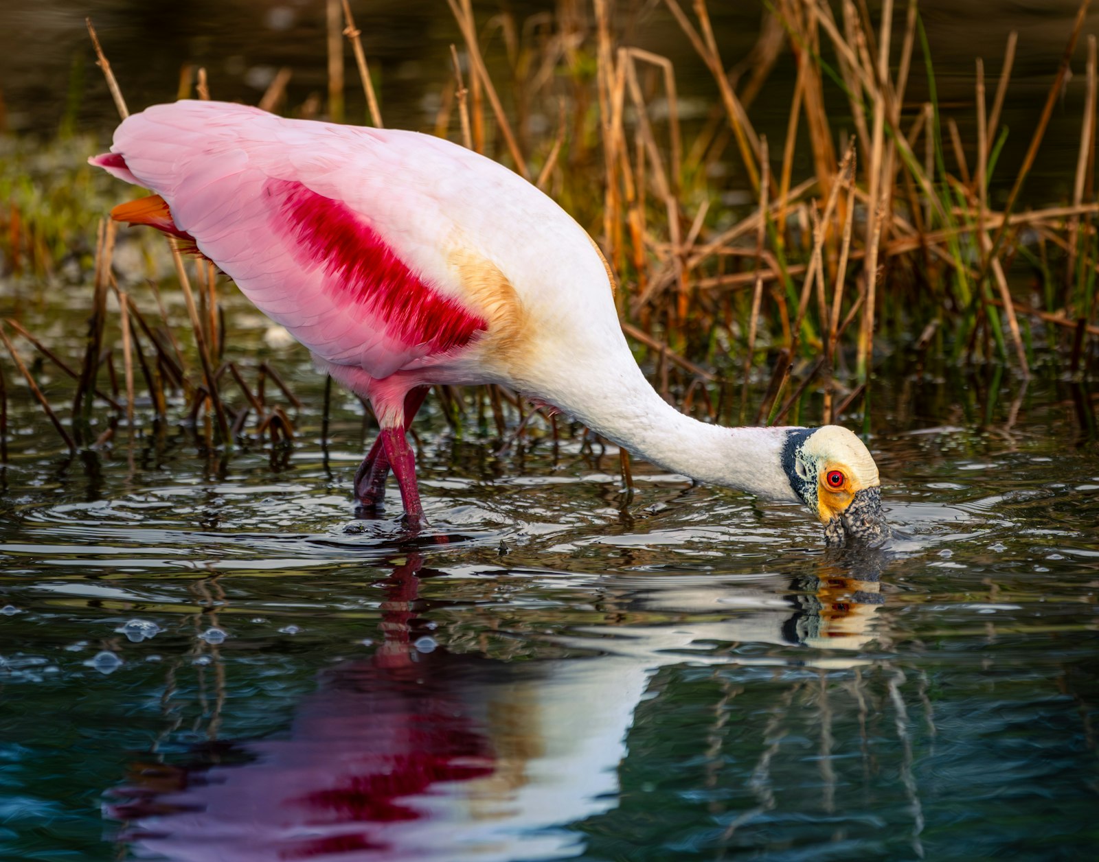 Typical September conditions on the Fort Myers coast