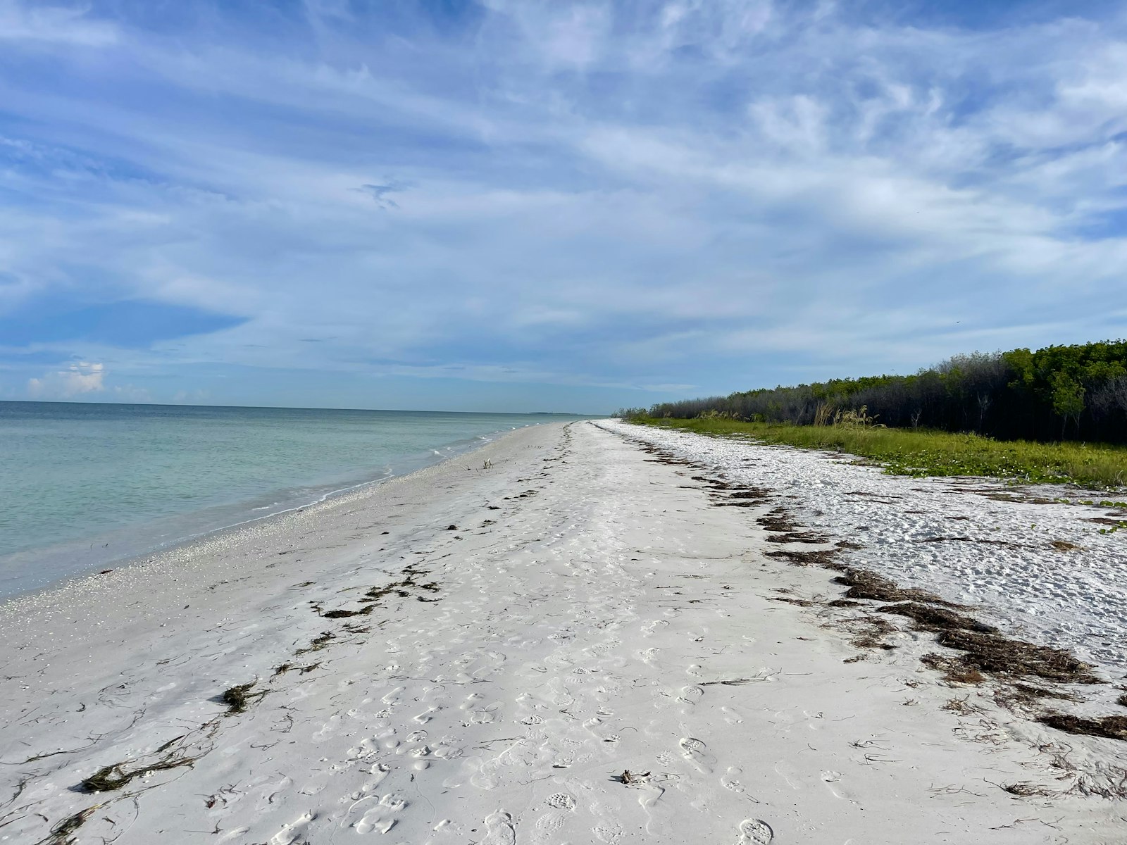 Typical January conditions on the Fort Myers coast