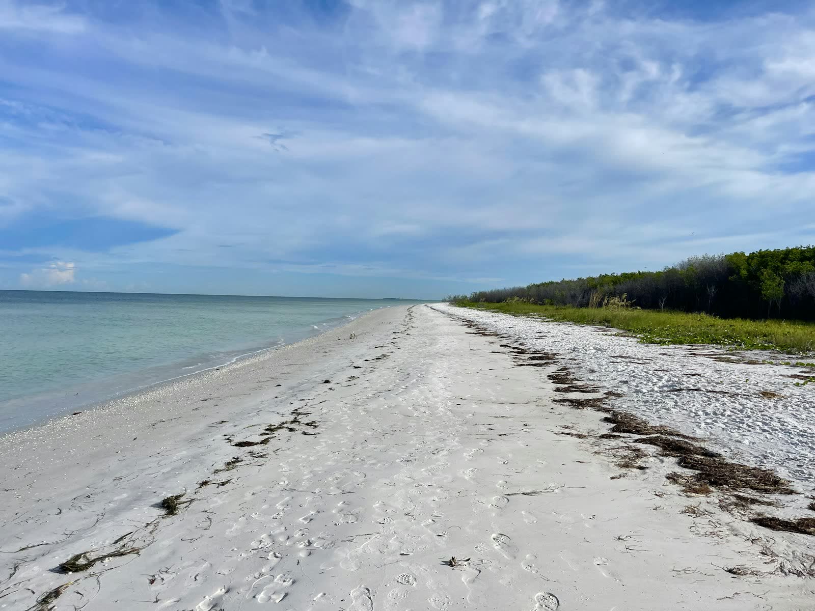 Typical January conditions on the Fort Myers coast